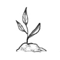 growth plants 1-1